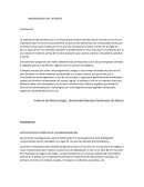 MICROBIOLOGIA DEL PETROLEO