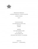 PROGRAMA DE FORMACION. AUDITORIA INFORMATICA: CONCEPTUALIZACION