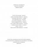 GESTIÓN DE LA INFORMACIÓN PROYECTO INTEGRADOR