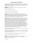 ﻿Acta constitutiva de “Velas Bougie”