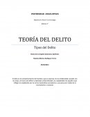 TEORÍA DEL DELITO . DELITO DE ROBO CALIFICADO