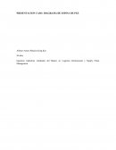 PRESENTACION CASO: DIAGRAMA DE ESPINA DE PEZ