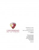 TALLER PRÁCTICO (CONCRETO)