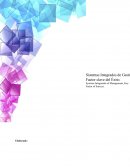 Sistemas Integrados de Gestión