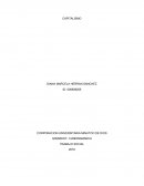 Reflexion Que es el capitalismo