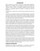 Deforestacion. AGENTES DE LA DEFORESTACIÓN