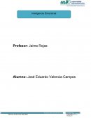 Inteligencia Emocional en los empleados. Empresa: MEJAMEX