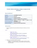 Formato: Estilos de liderazgo y trabajo en equipos de alto desempeño