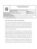 Reseña, Cultura mafiosa en Colombia- Oscar Mejía Quintana