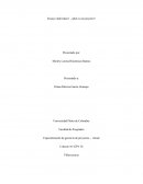 Ensayo individual 1. ¿Qué es un proyecto?