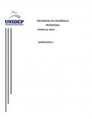 Programa: Administración de empresas