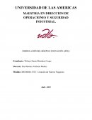 FORMULACIÓN DEL DISEÑO E INNOVACIÓN APPLE