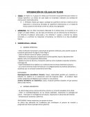 INTEGRACIÓN DE CÉLULAS EN TEJIDO