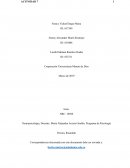 Neuropsicología, Docente: María Alejandra Acosta Giraldo, Programa de Psicología