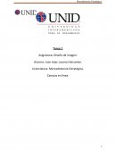 Actividad de aprendizaje Diseño de Imagen