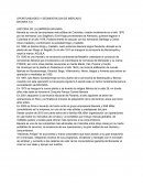 OPORTUNIDADES Y SEGMENTACION DE MERCADO