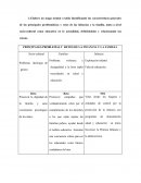 CONCEPCION DE LA FAMILIA