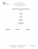 Organigrama general de la Iglesia Bautista Bethesda