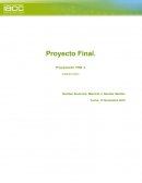Proyecto Final programación html 2