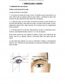 MICROPIGMENTACION. MEDIDAS DE LA BOCA