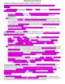 Unidad 1: El sistema de memoria desde el enfoque cognitivo