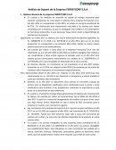 ANALISIS DE LA EMPRESA FERREYCORP S.A.A