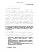 AUDITORIA DEL EFECTIVO Y SUS EQUIVALENTES