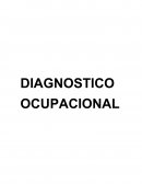 DIAGNOSTICO OCUPACIONAL SUPERMERCADO DON MIGUEL S.A.