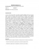 Proyecto Educacion Sexual Integral