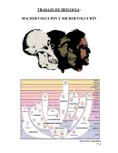 TRABAJO DE BIOLOGÍA: MACROEVOLUCIÓN Y MICROEVOLUCIÓN