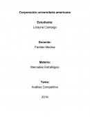 Analisis competitivo