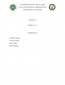 CONTABILIDAD Y AUDITORIA GRUPO N°4