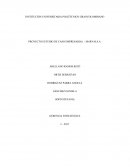 PROYECTO ESTUDIO DE CASO EMPRESARIAL – MARVALS.A