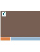 IMPACTO EN LA CONVERGENCIA A IFRS EN LAS COOPERATIVAS DE AHORRO Y CRÉDITO
