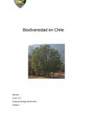 Biodiversidad en Chile Lithraea caustica