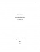 Guión tecnico. Tecnología en Producción Multimedia