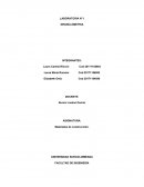 LABORATORIA N°1 GRANULOMETRIA