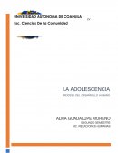 LA ADOLESCENCIA.Proceso del desarrollo humano