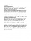 Ensayo estrategias del océano azul