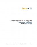 Acta constitución de proyecto