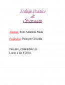 Trabajo Practico de Observación