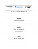 ESTUDIO DE CASO ENCUADERNADORA S.A