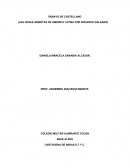 ENSAYO DE CASTELLANO (LAS VENAS ABIERTAS DE AMERICA LATINA POR EDUARDO GALEANO)