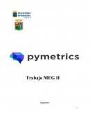 Trabajo MEG grupo económico Yarur