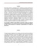 HACIA UNA POLÍTICA PUBLICA PARA LA PROFESIONALIZACIÓN E IMPLEMENTACIÓN DEL SERVICIO CIVIL DE CARRERA DE LOS SERVIDORES PÚBLICOS EN EL ESTADO DE MICHOACÁN