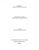 PRODUCTO 1 TEORIAS DE COMERCIO APLICADAS