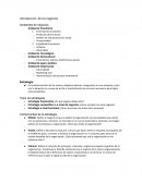 Introduccion de negocios. Ambientes de negocios