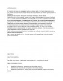 La importancia de la radiografia