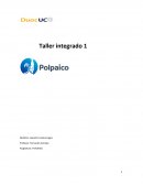 Caso empresa cementos Polpaico S.A