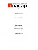 Estrategia Financiera CONCHA Y TORO